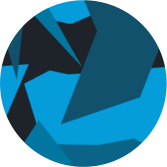 Blue Camo